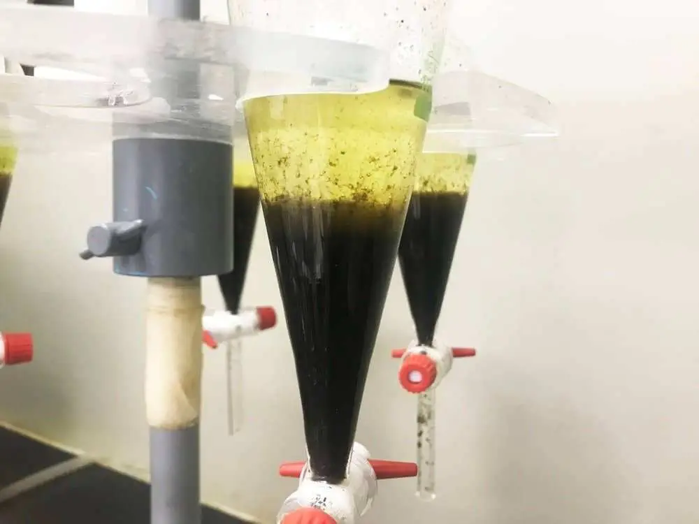 abfüllung cbd