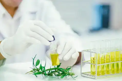 CBD Herstellung CO2-Extraktion