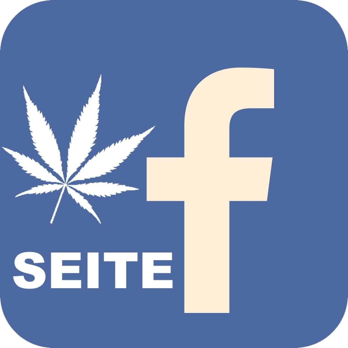 icon facebook