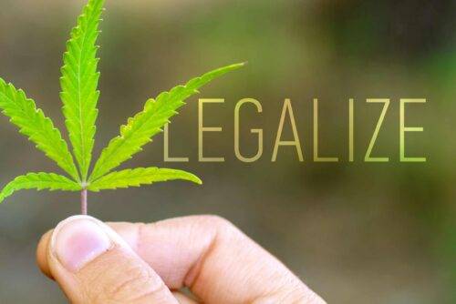 CBD Legal