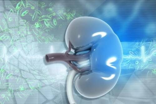 nebenniereschwäche cannabisöl tropfen