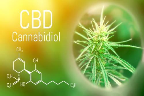 CBD Cannabidiol