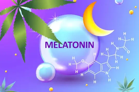 MELANTONIN CBD Hanföl