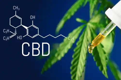 Aufnahme von CBD-Öl