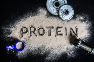 Proteins muskelaufbau