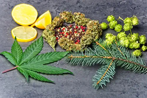 terpene natürliche duftstoffe