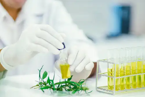 CBD Herstellung CO2-Extraktion