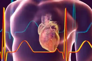 OPC und die Gesundheit des Herzens