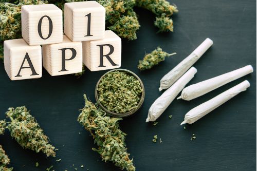 Dieser Artikel beleuchtet die synergetische Wirkung von THC und CBD auf den menschlichen Körper und Geist. Er untersucht, wie die Kombination beider Cannabinoide dazu beitragen kann, das High von THC auszugleichen und potenzielle gesundheitliche Vorteile zu bieten. Besondere Aufmerksamkeit wird auf die Milderung der psychoaktiven Effekte von THC durch CBD gelegt sowie auf verschiedene Verhältnisse von THC zu CBD und ihre individuellen Wirkungen. Der Artikel betont auch die Wichtigkeit der Schadensminimierung bei Cannabis Gebrauch und bietet praktische Tipps für einen verantwortungsvollen Konsum, insbesondere im Hinblick auf gesundheitliche Risiken und den Schutz bestimmter Personengruppen.