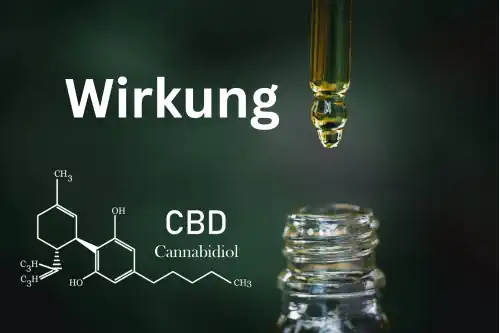 Ein Bild, das die Natur in ihrer Pracht zeigt, ist wie eine Metapher für die Wirkung von CBD Öl. Es steht für Ruhe, Ausgeglichenheit und die transformative Kraft, die CBD Öl in Ihr Leben bringen kann. Spüren Sie die tiefe Verbundenheit mit der Natur und lassen Sie sich von CBD Öl auf Ihrer Reise zu einem gesünderen und glücklicheren Leben begleiten.