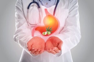 Ein Arzt im weißen Kittel hält ein Modell eines Magens in der Hand. Das Modell zeigt eine detaillierte Illustration einer Gastritis, erkennbar an der geröteten und entzündeten Schleimhaut. Der Arzt deutet auf die betroffenen Bereiche des Magens, um die Entzündung und mögliche Geschwüre zu erklären. Im Hintergrund ist eine medizinische Umgebung zu sehen, möglicherweise ein Behandlungsraum oder eine Arztpraxis. Der Arzt trägt ein freundliches, aber konzentriertes Gesicht, was auf die Ernsthaftigkeit des Themas hinweist.